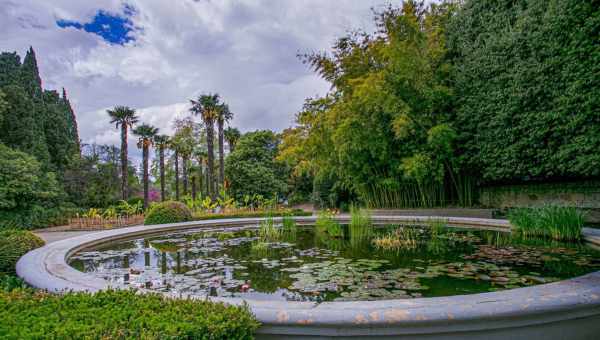 Ботанический сад Претории
