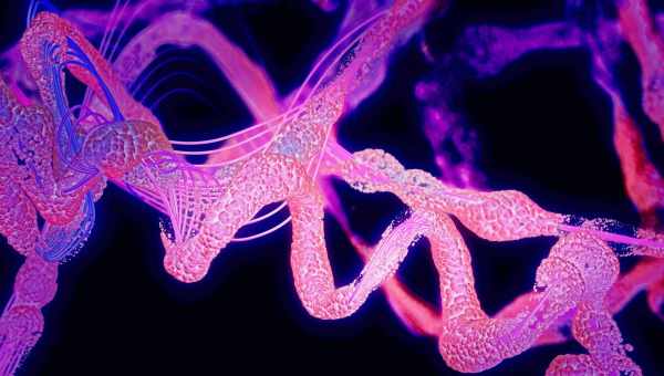 Биологи проследили за белком, защищающим от болезни Паркинсона