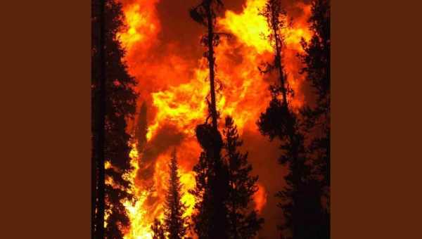 Коли, які і навіщо потрібні лісові пожежі? Досвід корінних американців