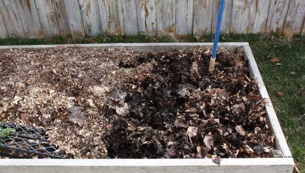 Коли вносити компост в грунт восени або навесні. Органічні