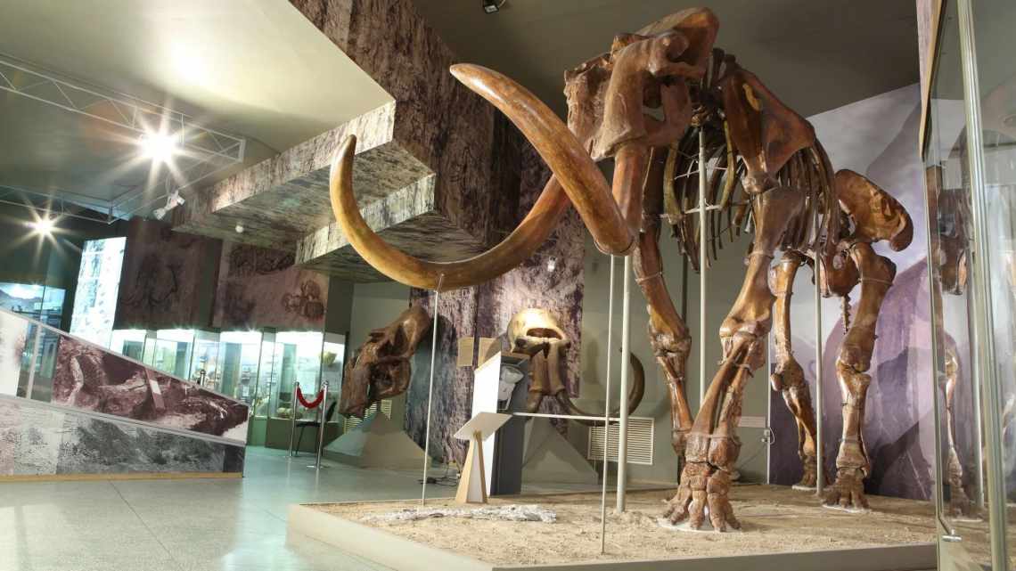Национальный доисторический музей «Бальци Росси»